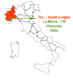 Tra monti e vigne La Morra