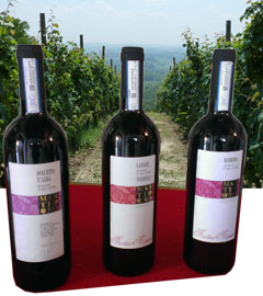 Produzione vini Dolcetto, Nebbiolo, Barbela e Barolo delle Langhe